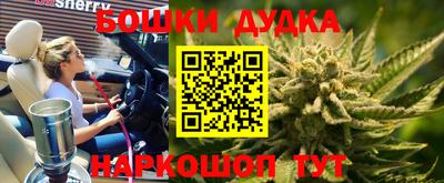 прущие грибы Вышний Волочёк