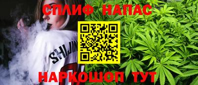 прущие грибы Вышний Волочёк