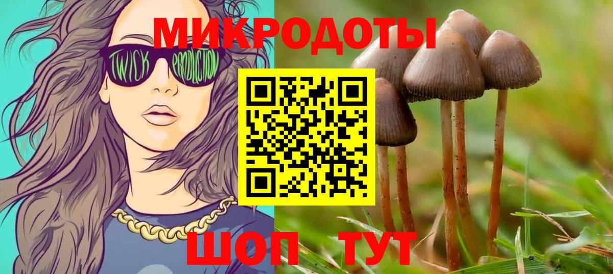 Галлюциногенные грибы Psilocybe  Псилоцибиновые грибы мухоморы  Вход с VPN  Кировск 